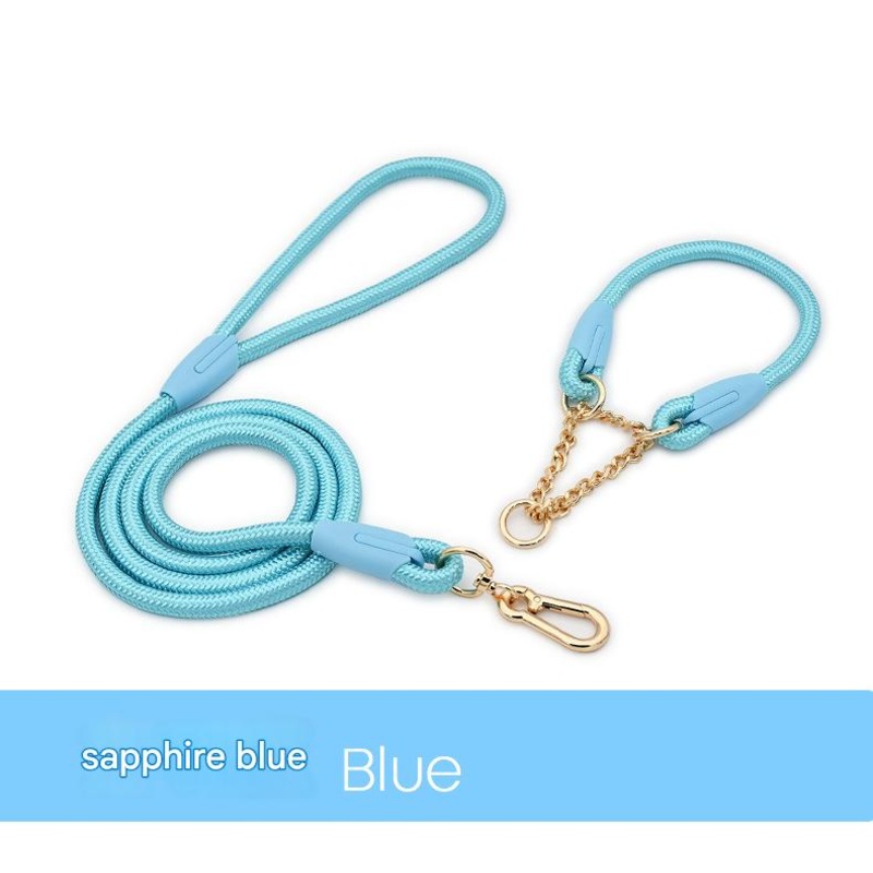 Blue Durable Nylon P-Collar Dog Training Set – Heavy Duty Leash & Martingale Collar (Size : XL)