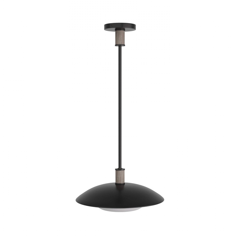 One Light Pendant from the Tobias Collection in Blackened Iron Finish by Arteriors