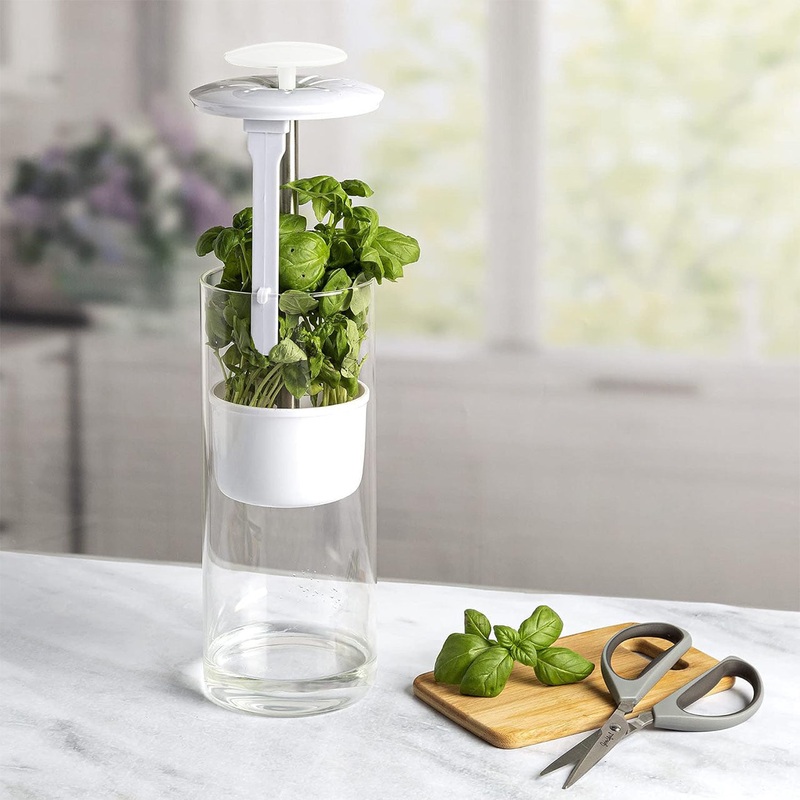 White Premium Herb Savor & Freshness Keeper – Extends Life of Herbs, Cilantro, Parsley & More