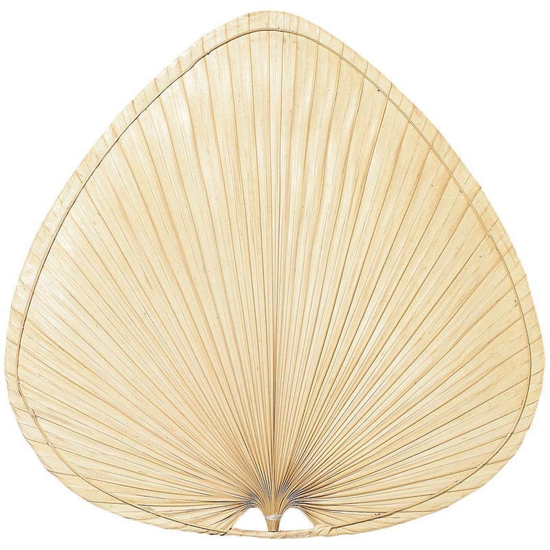 Fanimation ISP1 Blades Palm Blade Set Natural