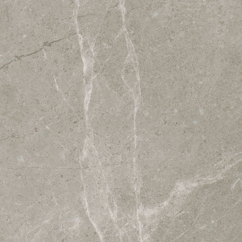 13″ x 13″ Torino Vanizio Matte Porcelain Tile 63-655