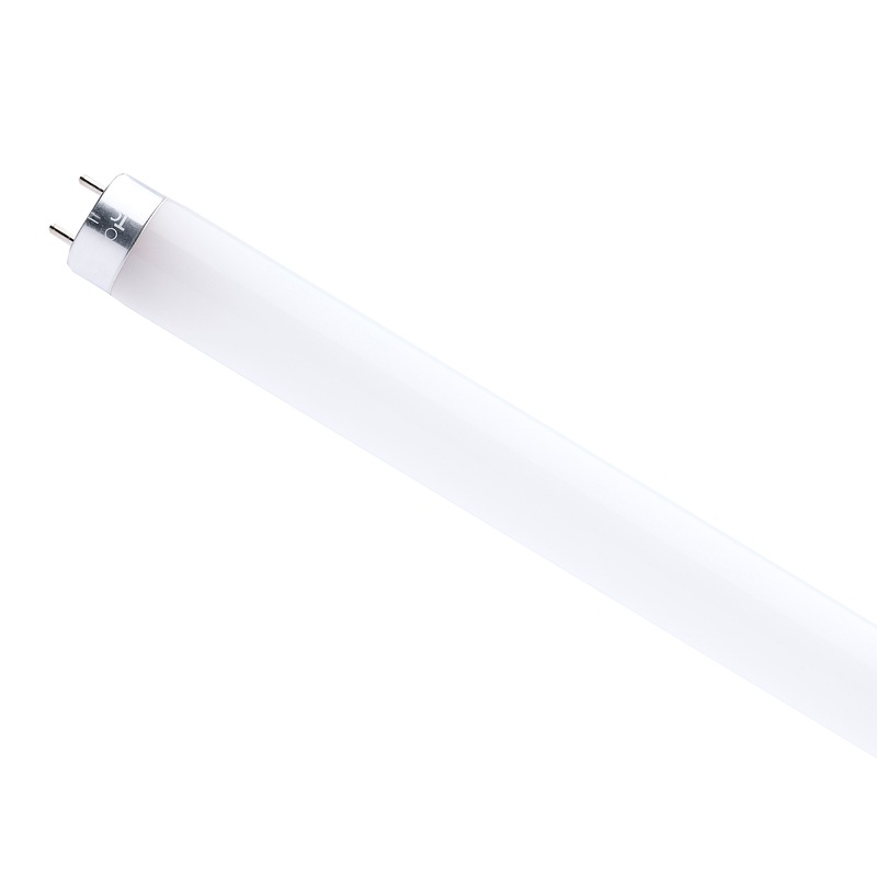 11 Watt – 4 Foot T8 LED – G13 Base – 5000K – Type A by Satco