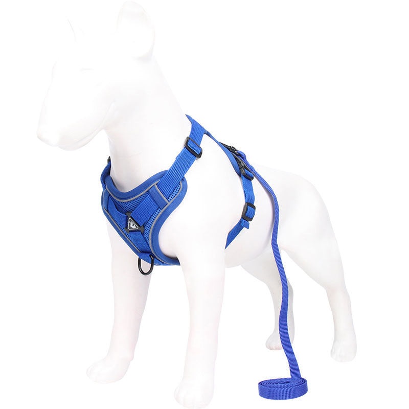 Blue Reflective Mesh Dog Harness and Leash Set – Adjustable No-Pull Vest – S