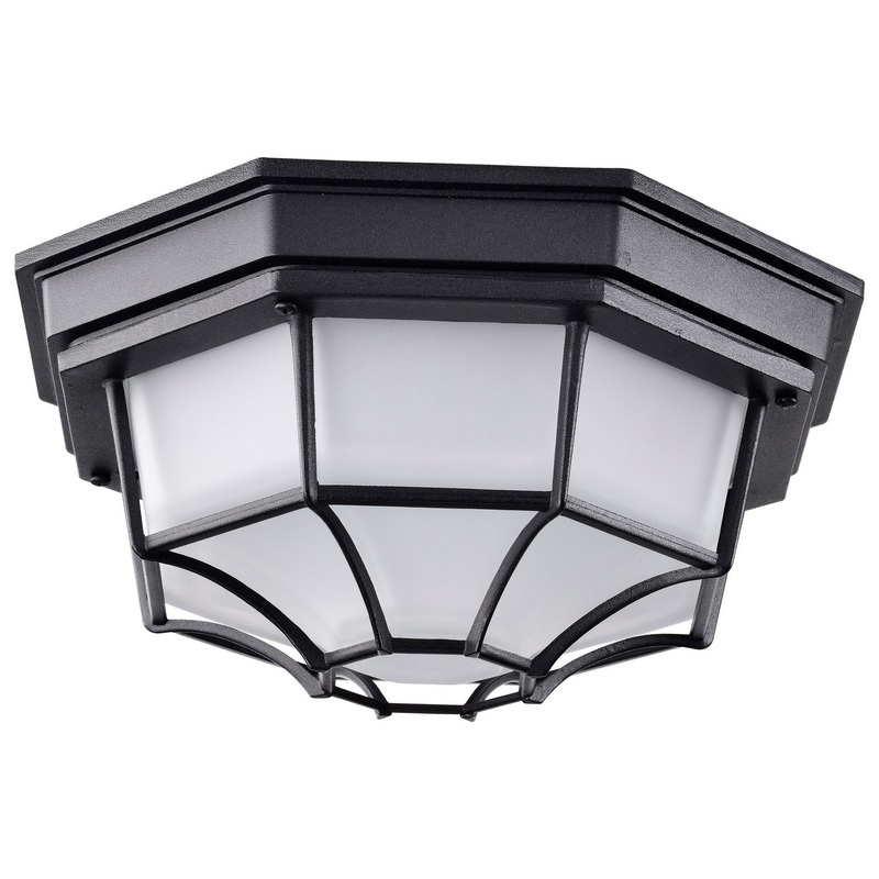 LED Spider Cage Fixture in Black Finish by Nuvo Lighting