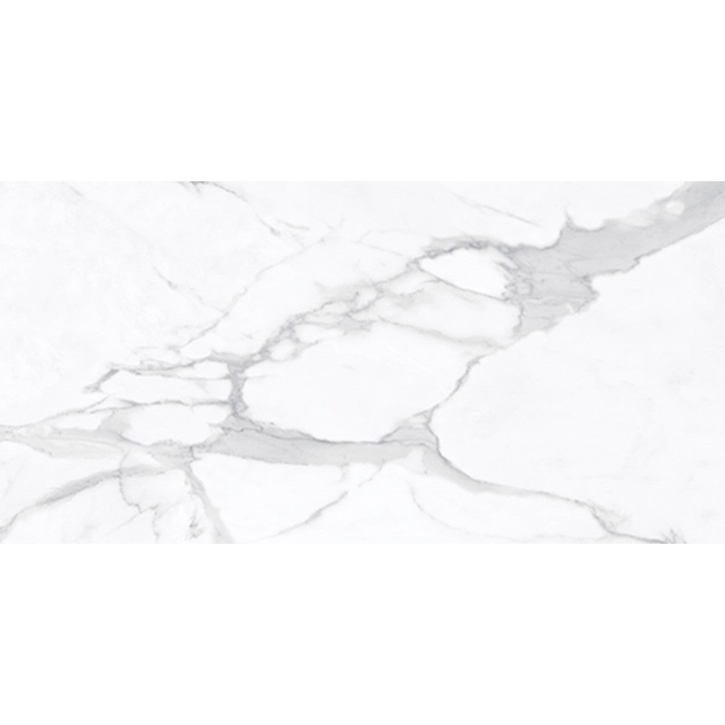12″ x 24″ La Marca Statuario Nuovo Honed Rectified Porcelain Tile