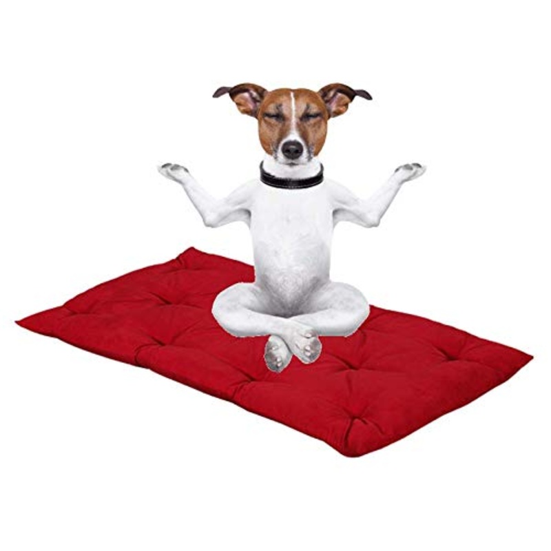 Evergreenweb – Letto per Cani 65×85 Alto 8 cm Lavabile Materasso Multiuso per Animali Domestici Cuscino Ortopedico in Waterfoam Cuccia Tappeto Sofa Imbottitura 100% Fiocco Effetto Piuma Tessuto Rosso