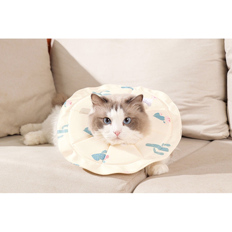 2 Pcs Size S Beige Comfortable Pet Recovery Collar | Waterproof Anti-Lick Collar for Cats & Dogs