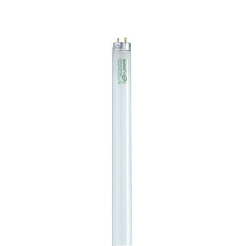 32 Watt, T8, Fluorescent, 6500K Daylight, 82 CRI, Medium Bi Pin base Light Bulb by Satco (Case of 30)