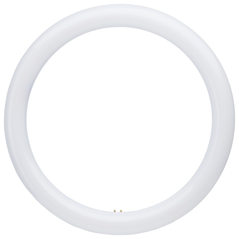 LED Circline – 16 Watt – T9 – 3000K/4000K/6500K CCT Selectable – G10q Base – 120-277 Volt Light Bulb by Satco