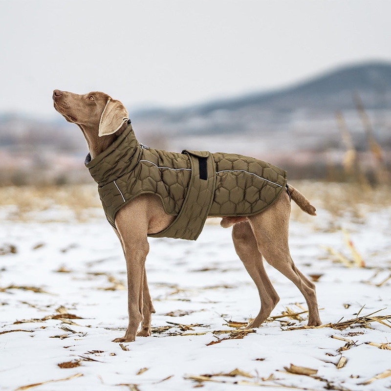 Size L Olive Green Warm Quilted Dog Winter Coat – Adjustable Fleece-Lined Puffer Vest with Reflective Trim & Leash Port