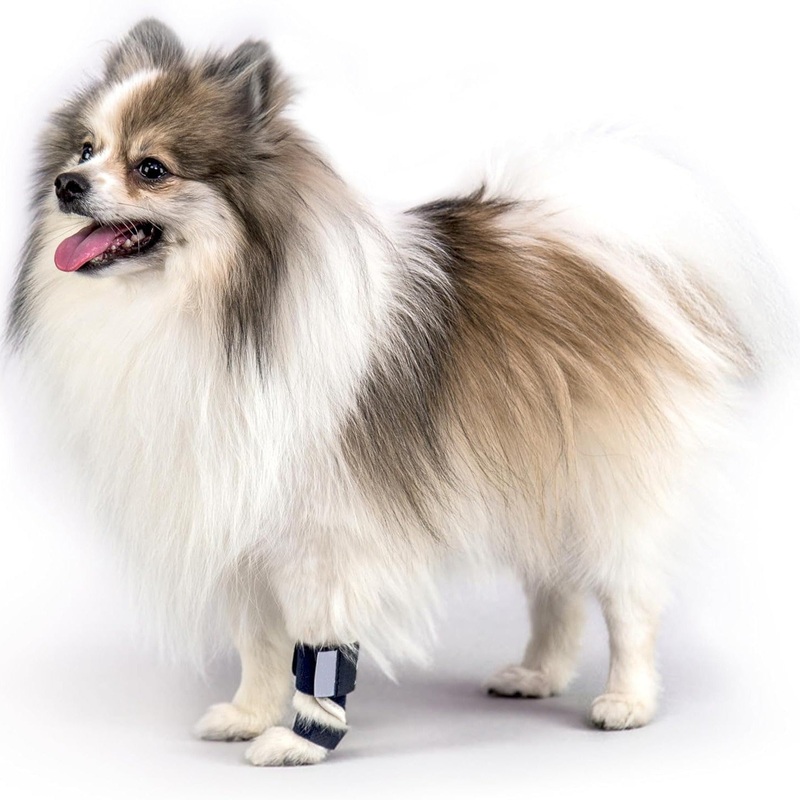 3 Pcs Size XS Dark Blue Supportive Dog Leg Brace – Adjustable Carpal/Tarsal Splint for Injury & Arthritis Relief